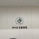헤아림 동물병원 이미지