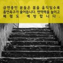 '계단 오르기' 의 놀라운 운동효과 이미지