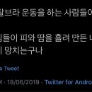 만화나라 이미지