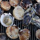 굴포천역 이미지