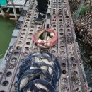 송말낚시터 이미지