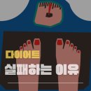 뉴트리션앤피트니스 이미지