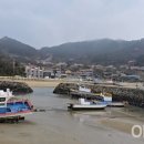 풀섬이야기