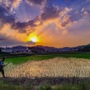풍년축산 이미지