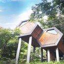 둔철산얼레지피는마을 | &#39;경남에서 하룻밤&#39;...코로나 피해 떠나는 여름 휴양 여행지 30곳