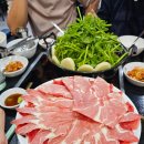 등촌샤브칼국수 티스토리
