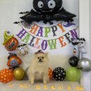 젤리뽀개린이집 이미지