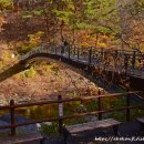 지리산덕천강마을 | 붉게 불타는 지리산 대원사계곡