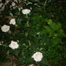 보은여인숙 이미지