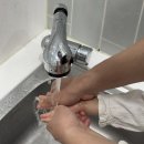 가족웰빙쿠키만들기(주말) | 대구쿠키만들기 동성로 아이와 체험 미르엘과자점