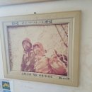 문금 농장 이미지