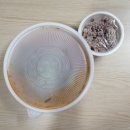 해미세꼬시 이미지