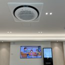 이스톤 의원 이미지