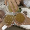 에벤에셀 축사 | 제주 함덕 에벤에셀호텔 스탠다드마운틴 솔직한 후기