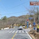 대청호의 멋진 경관~ 애견 동반 카페 &#34;롤라&#34; 브런치 카페