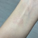 엘알씨 | [일기장_22] 해오름달 초순 (해가 바뀌었다고?! 첫 일기부터 남길 게 없는데?)