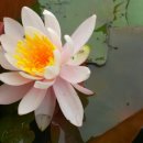 동리길 이미지