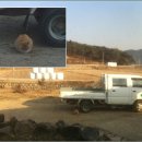 부복농장 티스토리