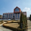 [카페] 용인카페 자작나무숲 베툴라 방문 솔직후기