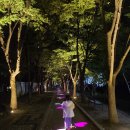 푸라닭 춘천퇴계점 이미지