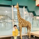 아이웰봄 소아청소년과의원 이미지