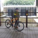 신정1교 Daum카페