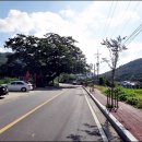 유학산휴게소식당