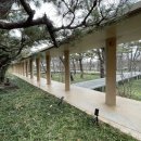 소나무집인카페보그너 | 소나무 숲과 건축미가 어우러진 [미래농원(MRNW)] 솔직 방문 후기 🎄(크리스마스 이벤트 중)