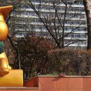 국민대학교 글로벌평화 통일대학원 Daum카페