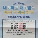 초록건강한약국 | 내돈내산) 한약다이어트 초록건강한약국에서 시작해요. 가격, 성공후기, 효과,할인 대공개!