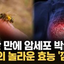 1시간 만에 유방암 세포 박멸? 호주 연구소가 밝혀낸 역대급 발견 / KNN﻿ 이미지