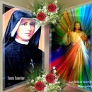 2025년 10월 5일 (녹) 연중 제27주일 이미지