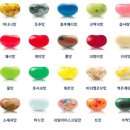 젤리빈스튜디오 이미지