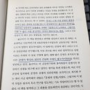 브랫