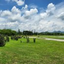 더센트럴골프 이미지