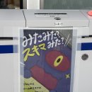5월 오사카의 푸른 봄! 마이시마 네모필라 축제 다녀온 후기