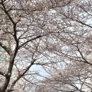 서대신동지하철역 1번 출구 이미지