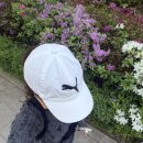 서촌등산로 | 등산초보 인왕산 등산코스 경복궁역 출발 + 잘빠진메밀, 서촌 맛집까지 코스 정리