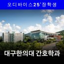 대구한의대 환경 | 대구한의대 간호학과 합격 후기 | 수시 원서 상담의 중요성