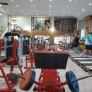 H휘트니스 이미지