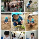 구름포오토캠핑장 이미지