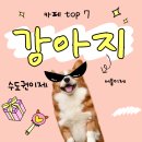 모노퍼피 | 서울 수도권 반려견 동반 가능 카페 추천 BEST 7 🐾