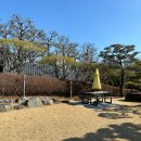 [세종/장군면] 조경이 예쁜 대형카페 “카페그리너리” 단체모임 하기 좋은 곳