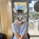 탐나사 | 마이 유월로그