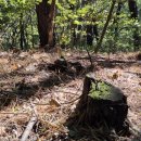 우리가 소갈비 이미지