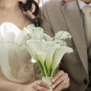 낙민로 | 부산 동래 꽃집 / 웨딩촬영 부케 후기 레드장미×화이트카라 조합, 사진에서 이렇게 고급지게 나와요