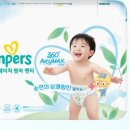 팸퍼스 2026 터치 오브 네이처 썸머팬티 여름기저귀 후기