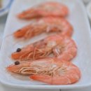 몽돌밭횟집 - 거제시 간곡길 58 | 몽돌밭횟집