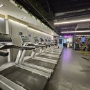 바벨 피트니스 이미지