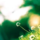 눈편안세상 이미지